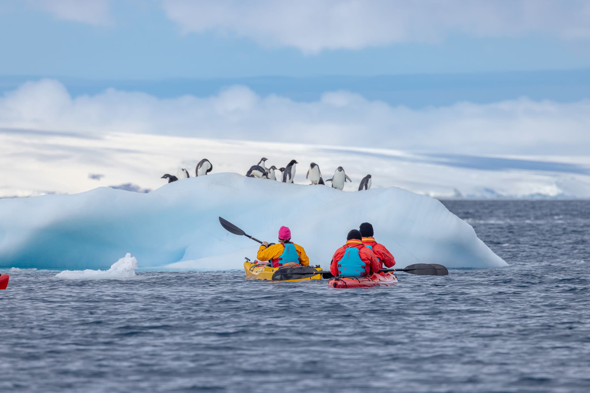 At Sea, heading to the Antarctic Peninsula